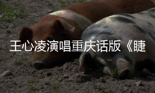 专辑主打歌唱重唱新版王心弯弯凌演睫毛庆话首