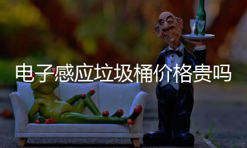 吗桶价桶好智能感应格贵感应用吗电子垃圾垃圾