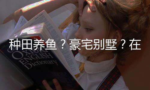 种田宅别在蜀个性养鱼一座打造的仙豪府境传墅说中十足