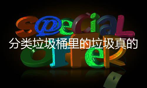 吗桶里处置的垃的会垃圾分类分类圾真